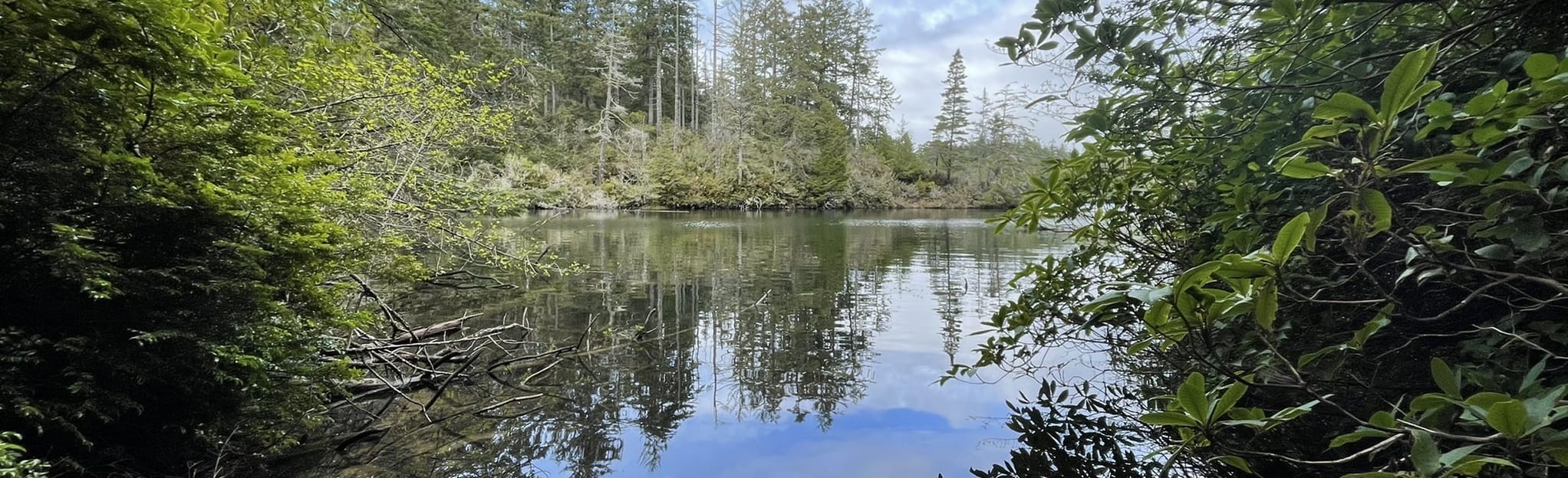 Woahink Lakeside Trail 211 Reviews, Map Oregon AllTrails