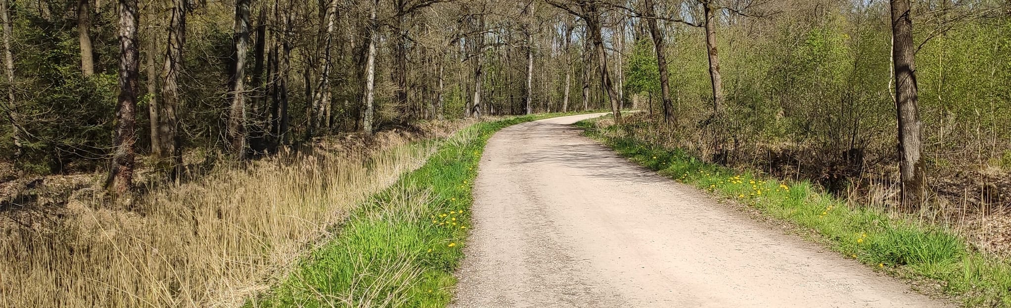 Weert Weerterbergen Weerterbos Fietsroute 18 foto's Limburg