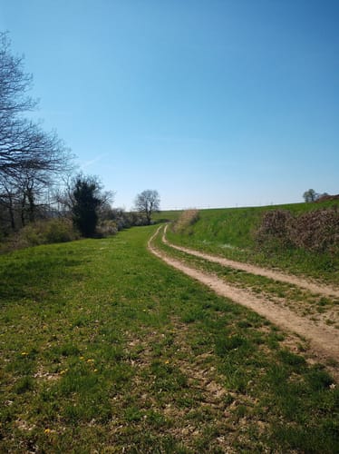 Löfer Rabenlaypfad (Premiumspazierwanderweg)