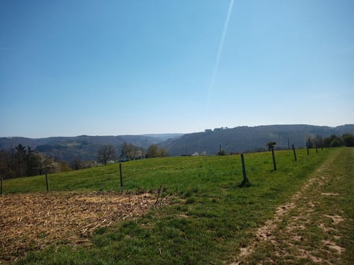 Löfer Rabenlaypfad (Premiumspazierwanderweg)