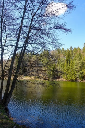 Bad Schlema - Silberbachstausee
