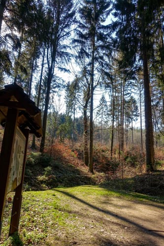 Bad Schlema - Silberbachstausee