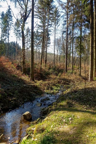 Bad Schlema - Silberbachstausee