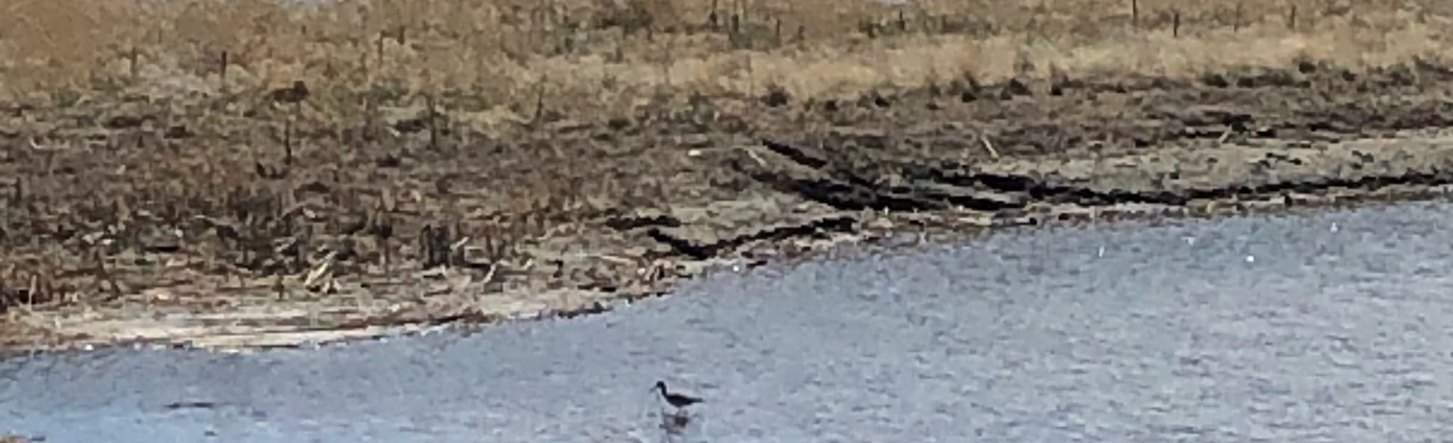 Frog Creek Wetlands, Alberta, Canada 5 Reviews, Map AllTrails