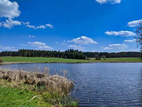 Runde bei Thierbach