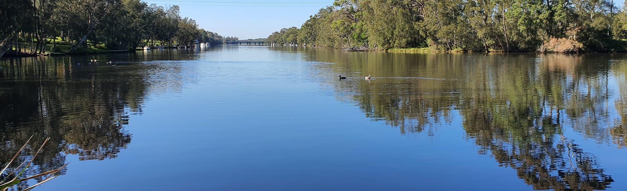 Dora Creek Foreshore: 7 Reviews, Map - New South Wales, Australia  AllTrails