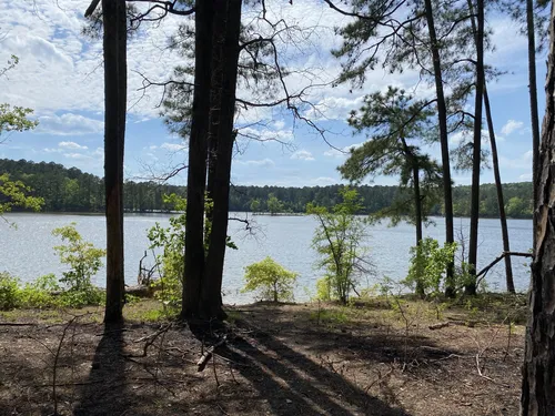 Best Walking Trails in Jordan Lake Educational State Forest  AllTrails