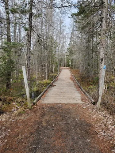 10 Best Trails and Hikes in Sault Ste. Marie