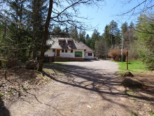 Dahner Felsenpfad (Premiumwanderweg)