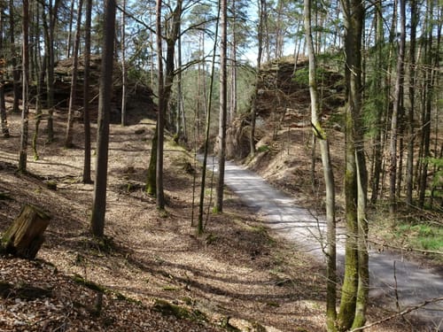 Dahner Felsenpfad (Premiumwanderweg)