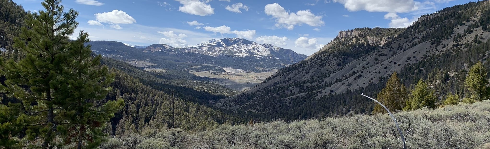 Lava Creek to Suspension Bridge 11 Reviews, Map Montana AllTrails