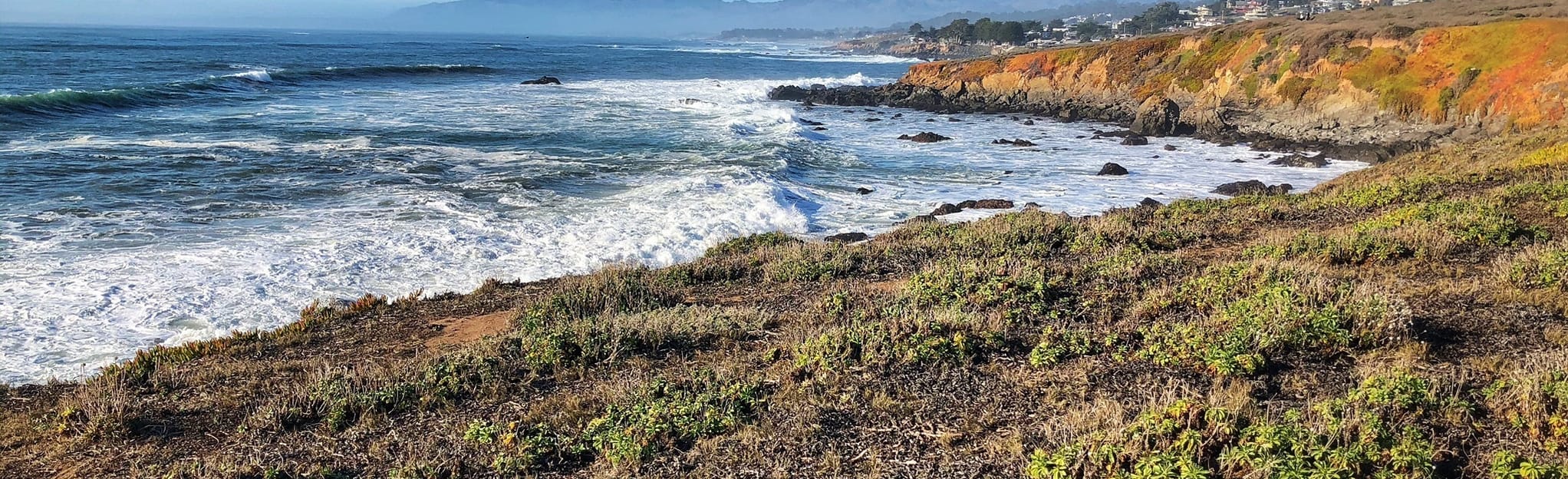 Bluff and Marine Terrace Trail Loop, California 328 Reviews, Map