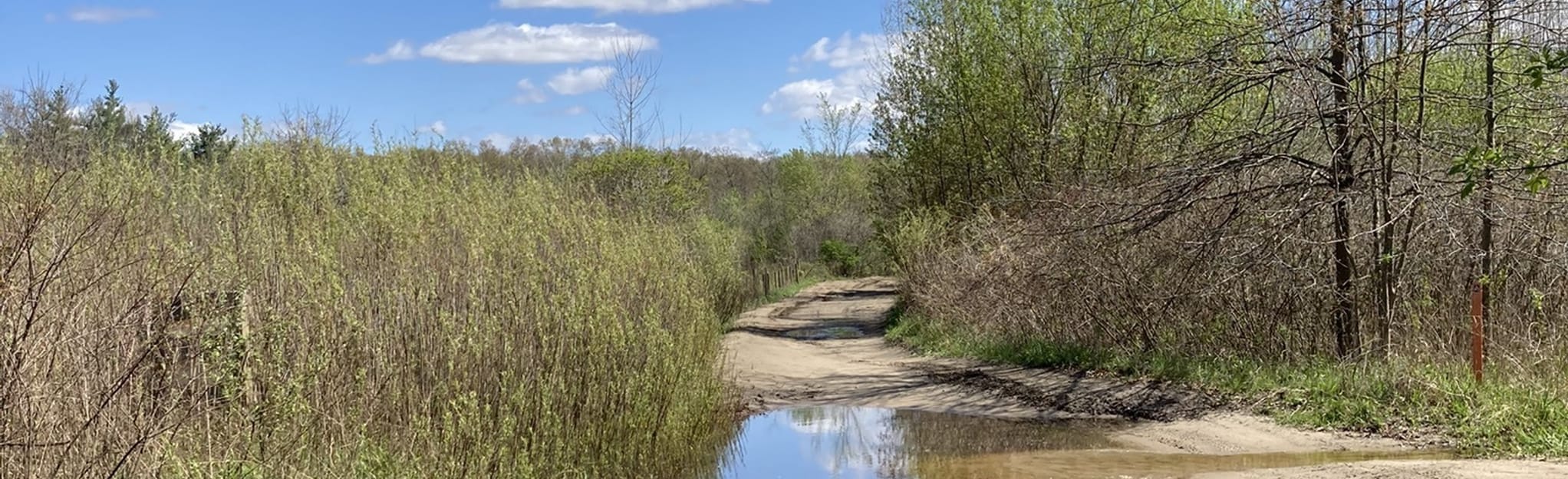 Maumee State Forest Trail, Ohio - 5 Reviews, Map | AllTrails