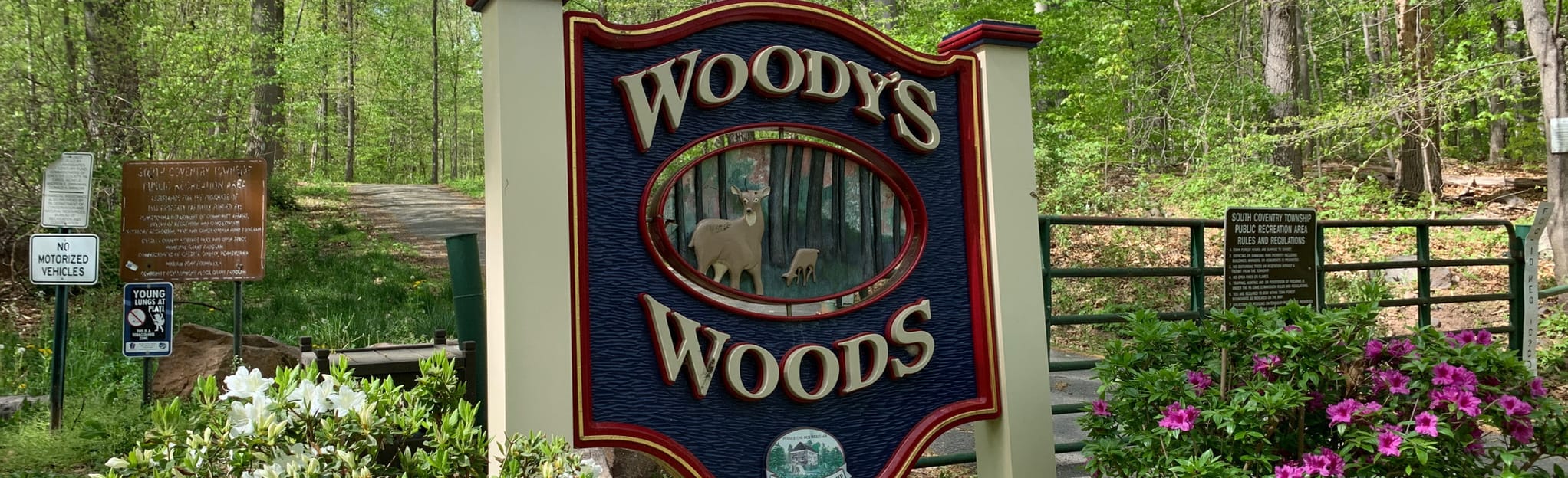 Woodys Woods Trail, Pennsylvania 80 Reviews, Map AllTrails