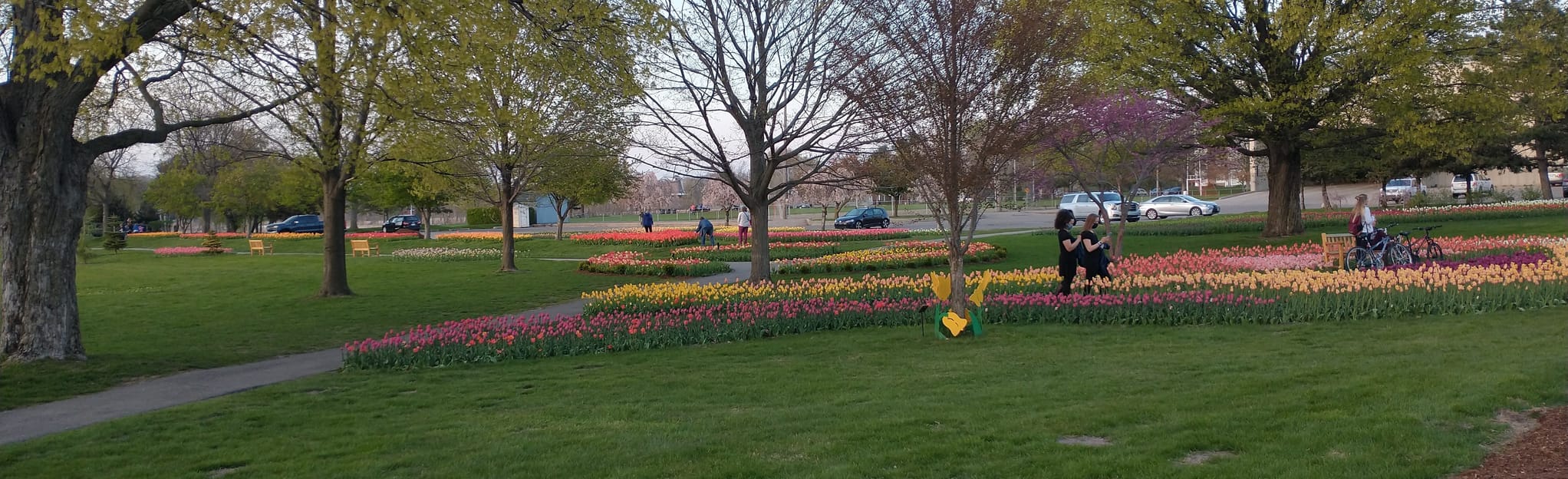 Window on the Waterfront Path, Michigan 53 Reviews, Map AllTrails