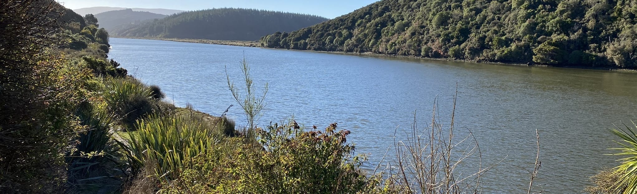 Taieri Millenium Track, Otago, New Zealand 9 Reviews, Map AllTrails