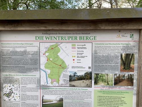 Durch die Wentruper Berge