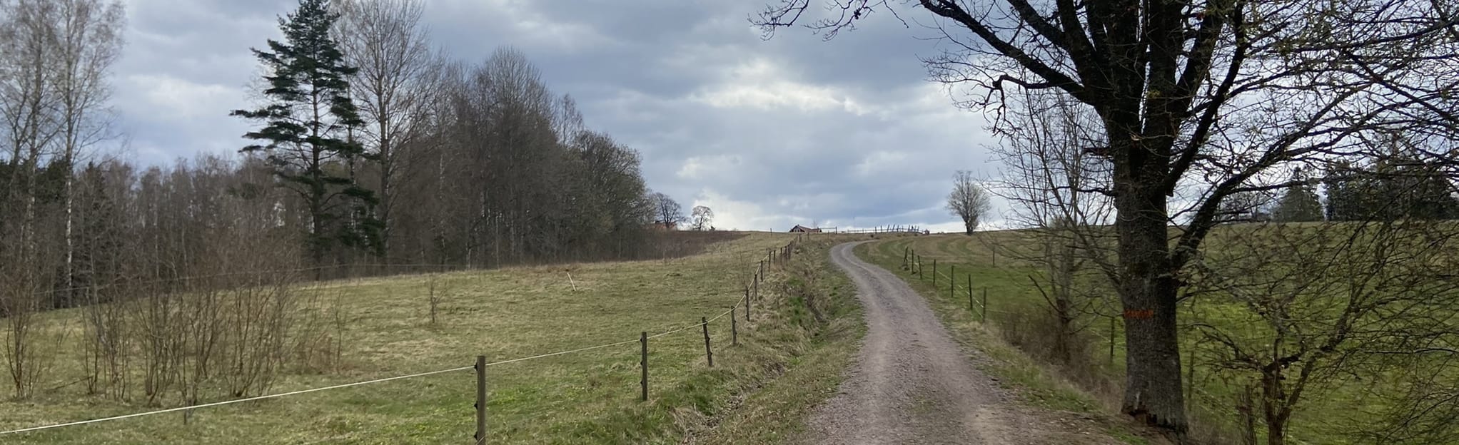 str-msberg-loop-j-nk-ping-sweden-8-reviews-map-alltrails