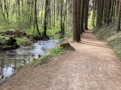 Herrenstrunden Rundweg A2