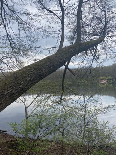 Michendorf zum Wietkiekenberg