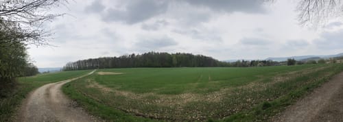 Bloopifferweg
