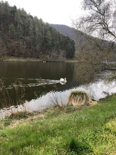 Ederseeradweg ER1