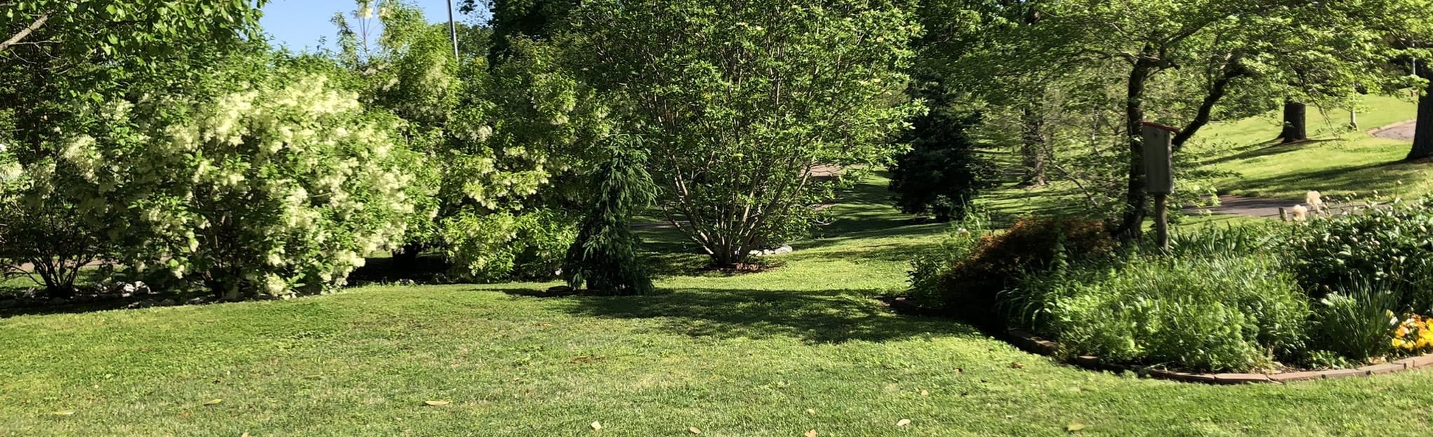 Okeena Walking Trail, Tennessee 17 Reviews, Map AllTrails