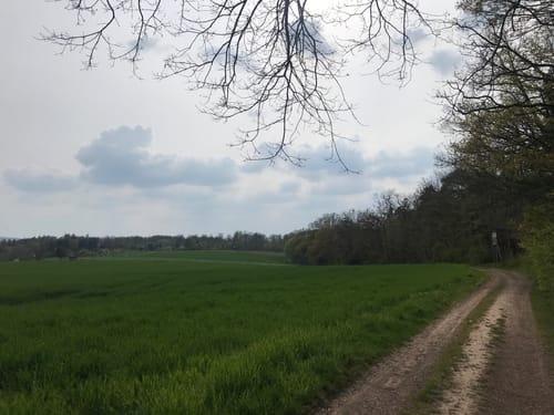 Altenmittlau Runde