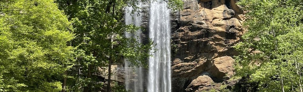 Toccoa Falls Trail, Georgia - 357 Reviews, Map | AllTrails