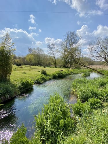 Best 10 Trails in North Wessex Downs Area of Outstanding Natural Beauty 