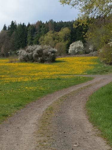 Von Baunach nach Freudeneck
