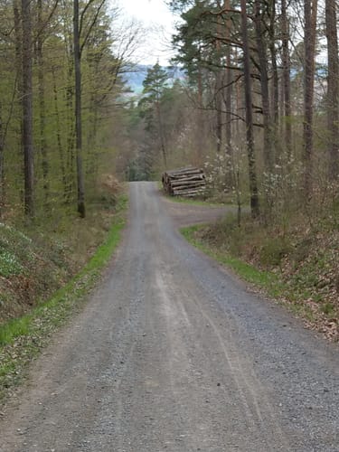 Von Baunach nach Freudeneck