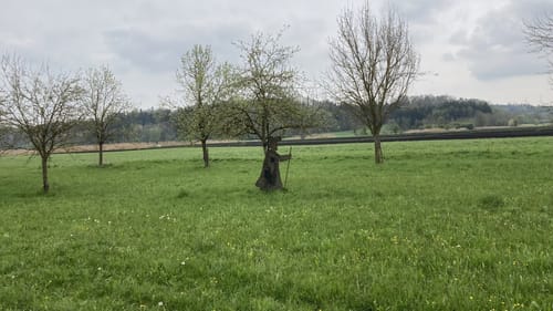 MTB: Waldkraiburg - Altötting Kapellplatz
