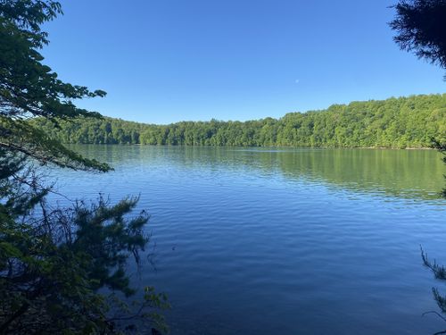 Best 10 Hikes and Trails in Norris Dam State Park | AllTrails