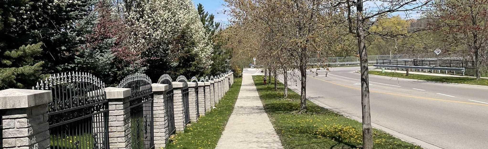 Fletcher's Creek Trail 36 Reviews, Map Ontario, Canada AllTrails