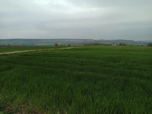 Rundwanderweg Graisbach - Leitheim