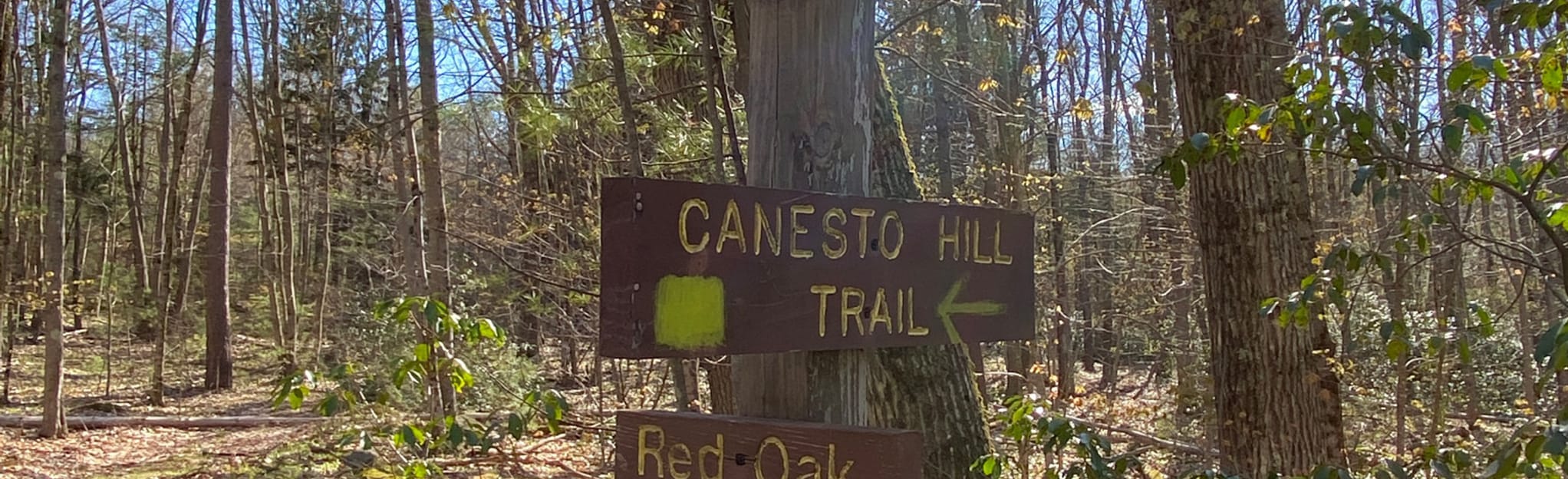 Copperas Mine, Link, Red Oak, and Canesto Hill Trail Loop Map, Guide