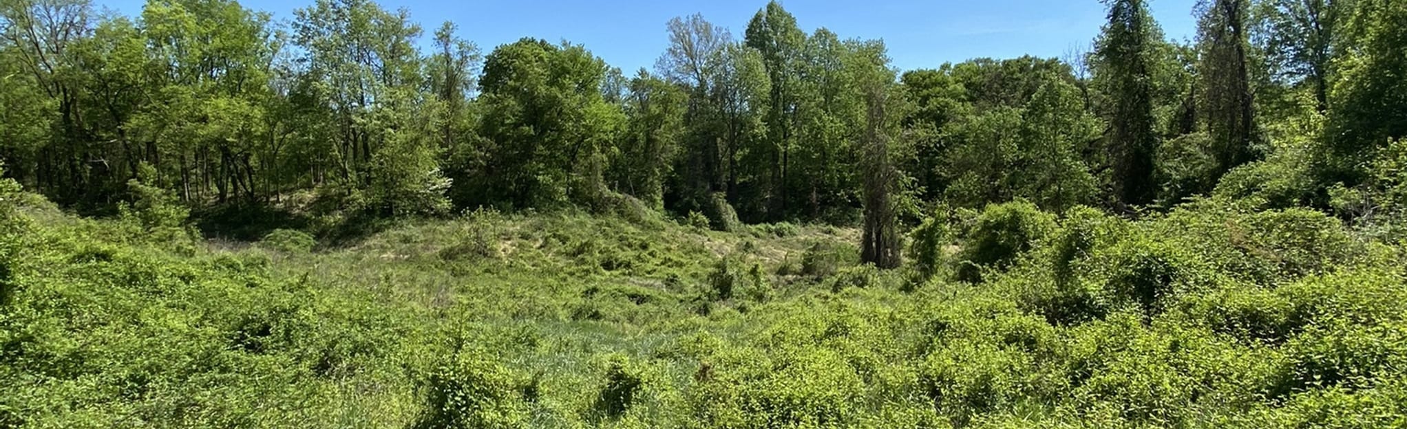 Explore Soapstone Trail AllTrails