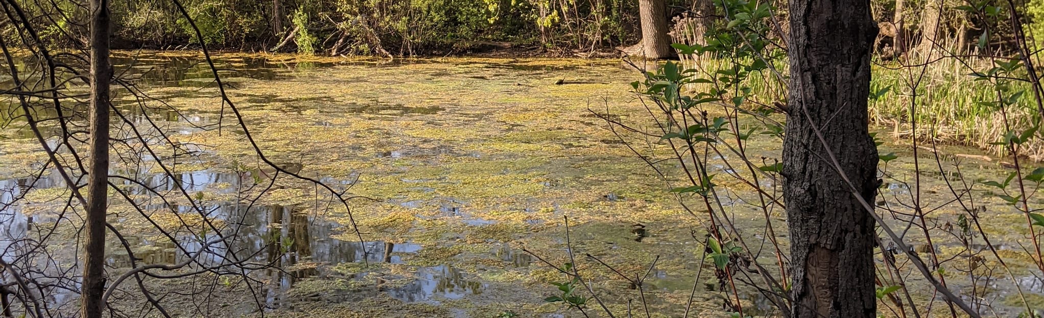 Emily Oaks Nature Center 20 Reviews, Map Illinois AllTrails