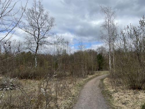 Bliesgau Tafeltour (Premiumwanderweg)