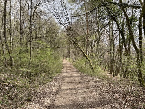 Bliesgau Tafeltour (Premiumwanderweg)