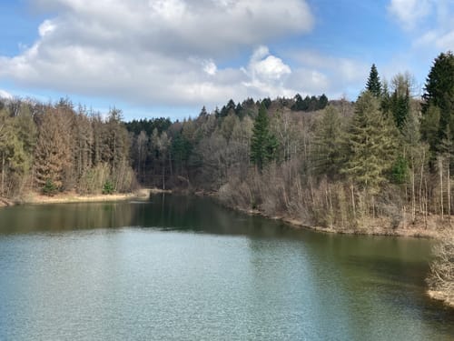 Westen und Ronsdorfer Stausee ab Stall