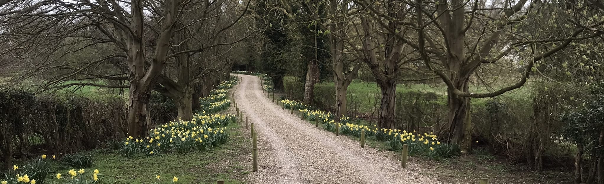 Side Hill Wood, Much Hadham and Widford Circular 73 foto's