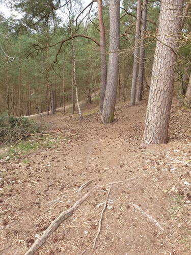 Jesteburg Wanderweg 18