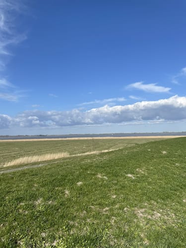 Elbinselroute