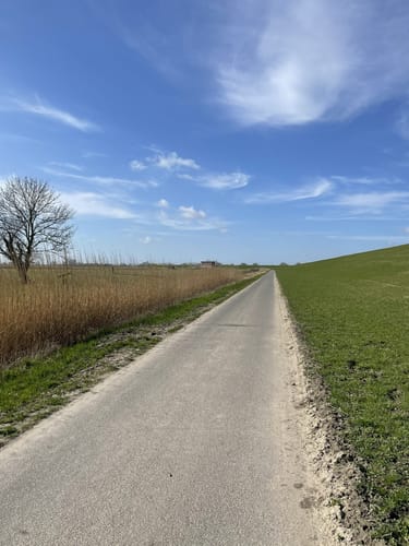 Elbinselroute