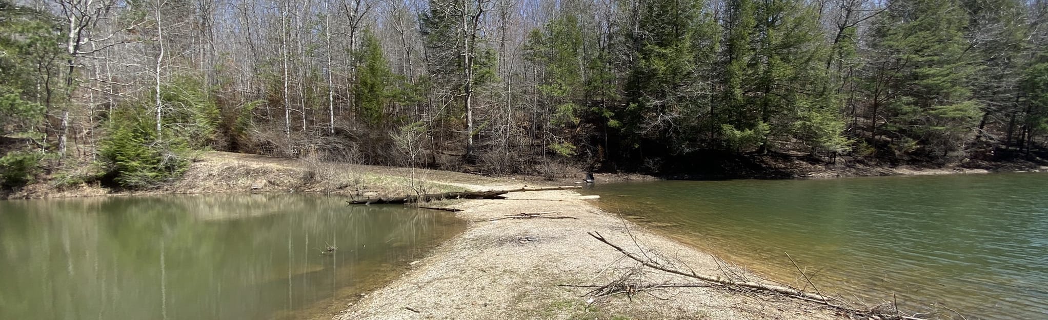 Sheltowee Trace Trail to KY 192 Map, Guide Kentucky AllTrails