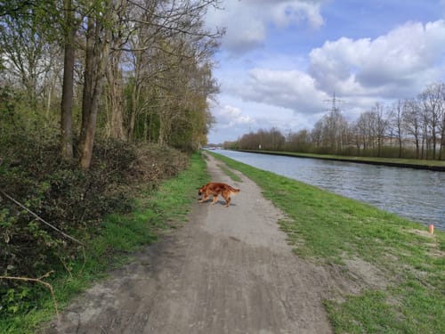 Rund um Dortmund-Ems-Kanal und Halde Emscher-Lippe