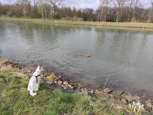 Rund um Dortmund-Ems-Kanal und Halde Emscher-Lippe