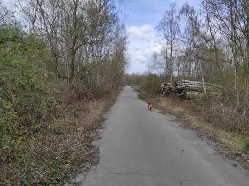 Rund um Dortmund-Ems-Kanal und Halde Emscher-Lippe